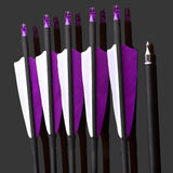 1 x RAW Customer Returns SHARROW 32 inch Carbon Arrows for Archery Spine 500 Carbon Arrow Hunting Bow Arrows Hunting Arrows with 4 inch Natural Feathers for Bow and Arrow Recurve Bow Compound Bow Purple, 12P  - RRP €48.76