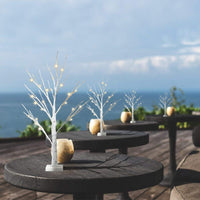 1 x RAW Customer Returns DELICHTER Set of 4 light tree branches for indoor use, 24 warm white LEDs, small trees, birch decorative branches, battery operated, Christmas decoration - RRP €39.99