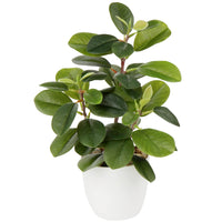 1 x RAW Customer Returns Briful Artificial Houseplant Camellia Artificial Plant Camellia Japonica in Plastic Pot Decorative Silk Flowers Camellia Artificial Flowers for Home Hotel Decoration - RRP €19.15