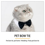 3 x Brand New kgkorgke169 Pet Tie Adjustable Bow Tie for Dogs Formula with Animal - RRP €25.08