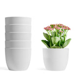 1 x RAW Customer Returns T4U 12cm plant pots for houseplants 6 pieces, plastic flower pot small set ideal for indoor and outdoor use, white plant pot for orchids, basil and herbs, small flower pots for all houseplants - RRP €23.99