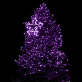 1 x RAW Customer Returns Tuokay, indoor fairy lights with plug, 23m 200 LED 8 modes Christmas decoration, decorative Christmas lights for balcony terrace yard garden wedding Christmas tree party decoration purple  - RRP €22.16