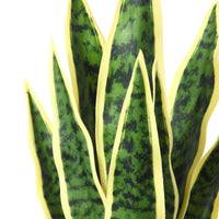 1 x RAW Customer Returns SOGUYI Artificial Plant 40 cm Artificial Plants in Pot for Indoor Decor Artificial Plant Sansevieria Home Desk Bathroom Bedroom Living Room Decoration 1 Pack  - RRP €25.99