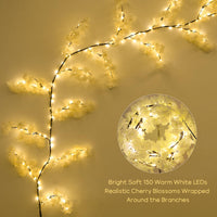 1 x RAW Customer Returns Willow Vine with Remote Control, 7.8ft Lighted Cherry Blossom Willow Vine, 150 LEDs Floral Spring Garland Lights, Artificial Plants Tree Vine Lights for Walls Bedroom Living Room Decor - RRP €37.3