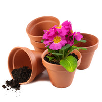 1 x RAW Customer Returns Garden Mania 12pcs Mini Ceramic Terracotta Flower Pots with Drain Hole 8cm - RRP €19.88