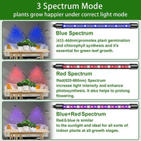 1 x RAW Customer Returns MEISHANG plant lamp LED full spectrum, plant light indoor plants, growth lamp for plants, grow lamp with timer 3 9 12 hours, 3 light modes and 10 dimming levels, USB adapter - RRP €15.62