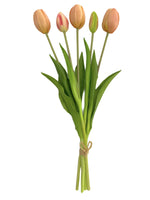 1 x Brand New MIJOMA artificial tulips, artificial flowers, real touch, table decoration tulip bunch - length 39cm, apricot  - RRP €16.63