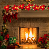 1 x RAW Customer Returns Poinsettia Christmas Wreath, Christmas Door Wreath with Light, Decorative Fireplace Frame Wreath, Bend As You Like, for Fireplace Door Staircase Christmas Tree 3m 20 Lights  - RRP €15.97