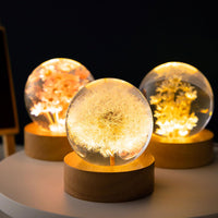 1 x RAW Customer Returns Night Light, Crystal Ball, 6cm Glass Ball Lamp with Wooden Base, LED Light Base, USB Charging Flower Sample Night Lamp with Stand Dandelion  - RRP €24.79