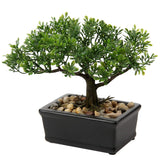 1 x RAW Customer Returns Artificial Bonsai Lifelike Artificial Plant Artificial Tree Bonsai Cedar Pine Podocarpus Plastic Plant Artificial Plant with Ceramic Planter in Black for Bathroom Decoration Desktop Office Windowsill - RRP €18.0