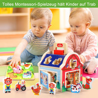 1 x RAW Customer Returns Montessori toys for children from 1 2 3 years, plug-in game farm wood with puzzle, children s toys wooden toys motor skills toys from 1 year, baby toys motor skills cube gifts for girls boys - RRP €28.22