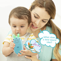 1 x RAW Customer Returns Richgv Baby Toy 1 Year Old, Mobile Phone for Child Girl Boy, Baby Smartphone Take Along Tunes with Lights and Melodies, Baby 6 Months Einstein - RRP €16.13