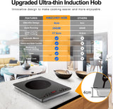 1 x RAW Customer Returns Single induction hob 2000W AMZCHEF Portable induction plate with quiet operation, 9 power and temperature levels, 4 automatic menus, ultra-thin housing design, safety lock, timer, gray - RRP €79.99