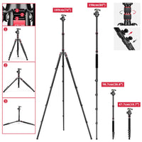 1 x RAW Customer Returns JOILCAN Camera Tripod 189cm, Lightweight Aluminum Monopod with 360 Detachable Ball Head Cell Phone Holder, Professional Tripod for Canon Nikon Sony DSLR Camera Smartphone, Load Capacity 30lbs - RRP €68.98