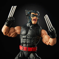 1 x Brand New Hasbro Marvel Legends Series - Wolverine Marvel 80th Anniversary, Multicolour, E6108CB0 - RRP €49.99