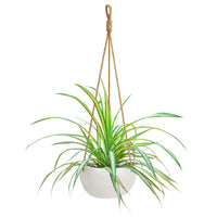 1 x RAW Customer Returns BELLE VOUS hanging pot for plants made of ceramic white for indoor outdoor - hanging flower pot 69cm -flower pot ceramic hanging plants pot flower pots for hanging with rope as decoration in the garden wall decoration - RRP €32.69