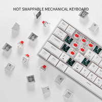 1 x RAW Customer Returns Newmen GM610 Gaming Keyboard Wireless, 60 Percent Mechanical Bluetooth 2.4G Cable, 61 Keys RGB Lighting Hot Swap Anti Ghosting TKL Mini QWERTY Keyboard for PC Win Mac, Red Switches, White - RRP €54.44