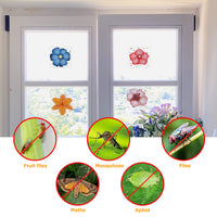 1 x RAW Customer Returns WD CD 50pcs Window Fly Traps, Fruit Fly Trap Glue Trap Window Fruit Fly Trap Sticker Fly Trap Paper Fly Catcher - RRP €8.64