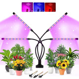 1 x RAW Customer Returns Plant lamp LED full spectrum, plant light indoor plants, growth lamp for plants, grow lamp with timer 3 9 12 hours, 3 light modes and 10 dimming levels, USB adapter - RRP €20.16