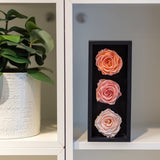 1 x RAW Customer Returns Mother s Day Preserved Roses in a Wooden Box, 3 Pink Birthday Flowers for Prime Delivery, Eternal Flowers, Natural Eternal Roses That Last for Years, Forever Rose, Gift for Mom - RRP €16.81