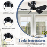 1 x RAW Customer Returns Mpayel Ceiling Fans with Lighting Black - 76cm Small Ceiling Fan with Light and Remote Control, Dimmable, Low Profile Ceiling Fan with 5 ABS Blades for the Bedroom - RRP €100.84