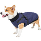 3 x RAW Customer Returns KEZATO Winter Dog Coat with Dog Harness, Cotton Lined Dog Jacket, Warm Winter Coat for Small Dogs, Gray S - RRP €72.57