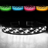 11 x Brand New Luminous dog collar - luminous dog collar - LED flashing light and reflective strips - USB luminous dog collar rechargeable waterproof - adjustable luminous collar - white... - RRP €210.65