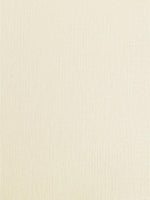 1 x RAW Customer Returns Syntego 50 sheets light ivory linen card silk weave textured A4 card 250gsm - RRP €19.75