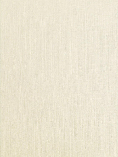 1 x RAW Customer Returns Syntego 50 sheets light ivory linen card silk weave textured A4 card 250gsm - RRP €19.75