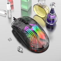 1 x RAW Customer Returns Zienstar Wired USB Gaming Mice with Transparent Crystal Housing, Silent Clicking, RGB Backlight, 7200 DPI-Black - RRP €20.65