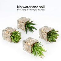 1 x RAW Customer Returns Briful Artificial Plant Artificial Succulent Plant Houseplant Decorative Living Room Bathroom Decorative Plant Succulent Height 8 cm in a Glass Pot Set of 3 - RRP €20.16