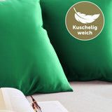 5 x Brand New Blumtal Set of 2 Sofa Cushion Covers 45x45 cm in Velvet, with Invisible Zipper, Elegant Sofa Cushion Covers in Soft Velvet, Size 45 x 45, Nature Green - RRP €69.95