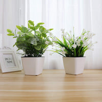 1 x RAW Customer Returns T4U 13cm Small Plastic Self-Watering Flower Pot Square White with Water Indicator Set of 3 for Miniature Plants - RRP €27.99