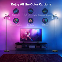 1 x RAW Customer Returns SIBRILLE L mpara de Pie RGB Regulable 20W con Domo a Distancia, 1300lm 3000K-6000K L mpara de Pie LED Moderna para Salon Dormitorio Oficina Hotel - RRP €85.56