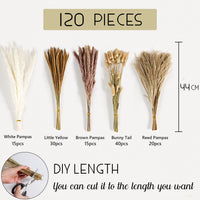 1 x RAW Customer Returns Pack of 120 Dried Pampas Grass, Natural Brown White Pampas Grass Fluffy Fronds Lagurus and Reed Flower Dried Flowers 44cm Bouquet Dried Flowers Home Decor - RRP €13.88