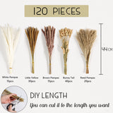 1 x RAW Customer Returns Pack of 120 Dried Pampas Grass, Natural Brown White Pampas Grass Fluffy Fronds Lagurus and Reed Flower Dried Flowers 44cm Bouquet Dried Flowers Home Decor - RRP €13.88