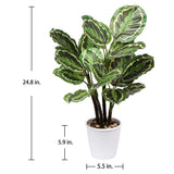 1 x RAW Customer Returns Briful 63CM Artificial Calathea Medallion Artificial Plant Decorative Plant Tropical Houseplants in Pot for Home Garden Office Decoration - RRP €40.33