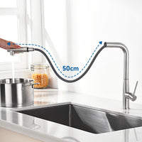 1 x RAW Customer Returns Auralum kitchen faucet, pull-out kitchen faucet, high pressure sink faucet with shower two water jet types, kitchen faucet 360 rotatable, kitchen mixer tap stainless steel - RRP €49.57