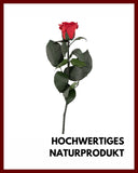 1 x RAW Customer Returns Infinity Rose red on a stem shelf life for 3 years in a gift box I Valentine s Day decorative gift I A preserved flower with rose scent I Incl. gift card - RRP €25.1