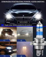 1 x RAW Customer Returns XELORD H4 55W halogen headlight bulb, 5000K white, 12V car, E-mark 2 bulbs  - RRP €17.14