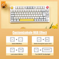 1 x RAW Customer Returns EPOMAKER TH80 PRO ISO UK Hot Swap RGB 2.4Ghz Bluetooth Mechanical Keyboard with PBT Keycaps, Button Control for PC Mac PS4 PS5 Xbox Theory, Gateron Pro Yellow  - RRP €109.99