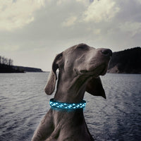 84 x Brand New Luminous dog collar - luminous dog collar - LED flashing light and reflective strips - USB luminous dog collar rechargeable waterproof - adjustable luminous collar - blue... - RRP €1522.92