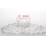 1 x RAW Customer Returns 10 solid plastic eggs dummy eggs for pigeons white - RRP €9.56