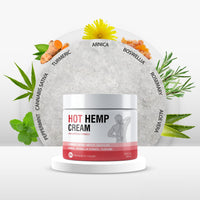 1 x RAW Customer Returns Hemp Joint Muscle Active Soothing Cream - Hemp Oil Soothing Formula, Soothes Knees, Shoulders and Back with Arnica, MSM, Turmeric Aloe Vera 250ml  - RRP €23.8