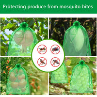 3 x Brand New Grape protection bags, 60 pieces of grape protection bags 20 x 30 cm, grape protection bags with drawstring, prevent wasps and fruit flies 20 x 30 cm, green  - RRP €61.2