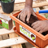 1 x RAW Customer Returns KOKOSFLORA coconut soil - 18L brick - peat-free - ideal for indoor and outdoor use - potted plants, houseplants, balcony boxes, garden beds. 2 x 650g - 18L coconut brick  - RRP €14.11