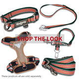 1 x Brand New Blueberry Pet - Pet Harness with 3M Reflective Strip, Padded, Multi-Colour, 9 Colours - RRP €20.4