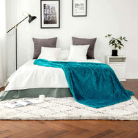 1 x RAW Customer Returns MIULEE Cuddly Blanket Fleece Blanket Flannel Blanket Solid Color Living Room Blankets Couch Blanket Fluffy Throw Microfiber Bedspread Sofa Blanket Blanket For Bed Sofa Bedroom Office 85x95Inch 220x240cm Teal - RRP €46.97