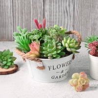 1 x RAW Customer Returns FEPITO 15pcs Artificial Succulents Green Unpotted Faux Flower Succulents Mini Echeveria Picks Bulk Stems for Home Indoor Fairy Garden Decorations - RRP €18.08