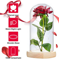 1 x RAW Customer Returns Beauty and the Beast Rose, Forever Rose, Eternal Rose in Transparent Dome, Rose Gift for Mother s Day, Anniversary, Birthday, Valentine s Day, Room Decor - RRP €23.59